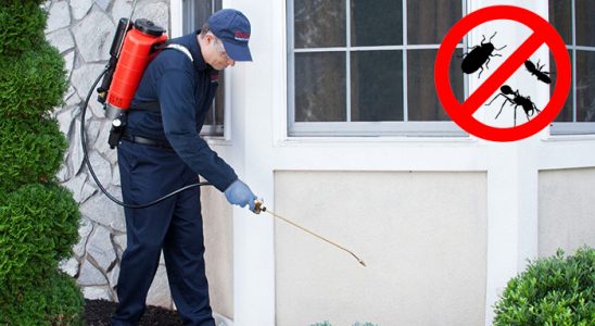 Gömeç Dezenfeksiyon böcek ilaçlama ve haşere kontrolü — ilaclama-tr.com